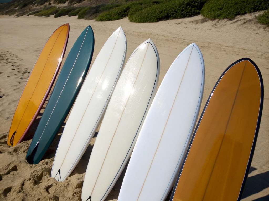 Which Shape Fits Your Surfing