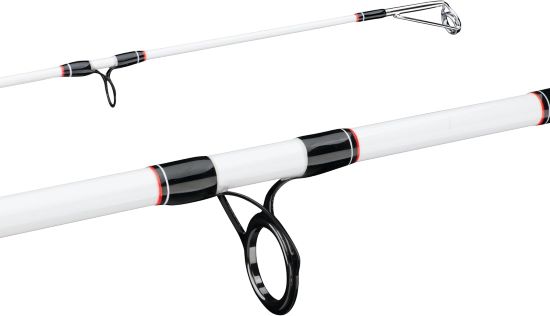Berkley Big Game Spinning Fishing Rod
