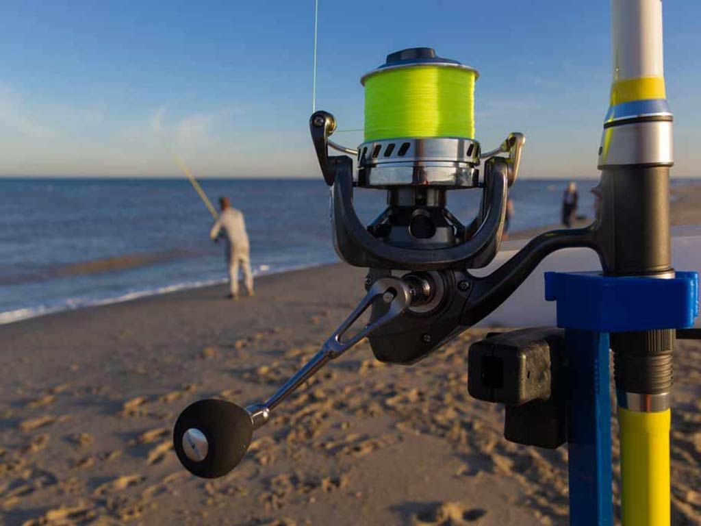 Different surf fishing rods displayed for choosing the best option